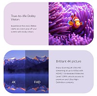 HOMATICS TV Box R 4K Plus, 4/32GB, WiFi, Google πιστοποίηση, Android 11 BOXR4KPLUS