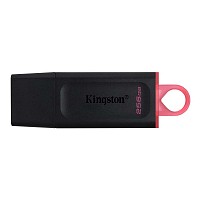 Kingston DataTraveler Exodia 256GB USB 3.2 Gen 1 DTX/256GB