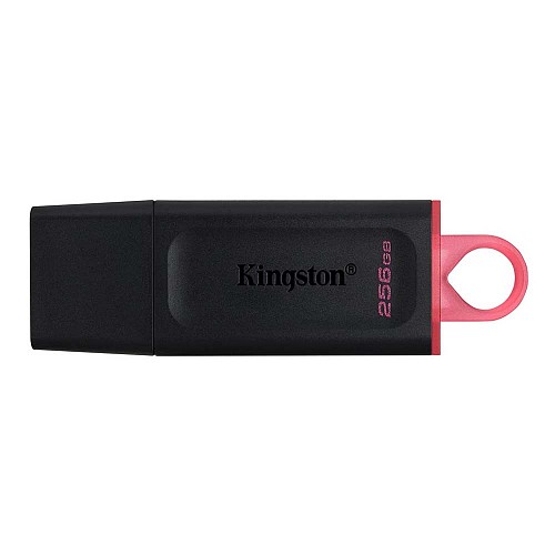 Kingston DataTraveler Exodia 256GB USB 3.2 Gen 1 DTX/256GB