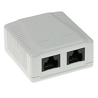 ACT ΠΡΙΖΑ ΑΥΤΟΚΟΛΛΗΤΗ ΕΠΙΤΟΙΧΙΑ 2χRJ45 UTP Cat6 FA6002