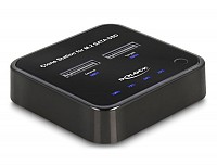 Delock Docking Station for 2 x M.2 SATA SSD with Clone function 64178