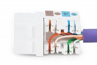 Digitus Keystone Cat6 Utp DN-93601