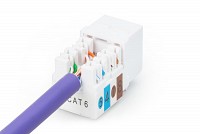 Digitus Keystone Cat6 Utp DN-93601
