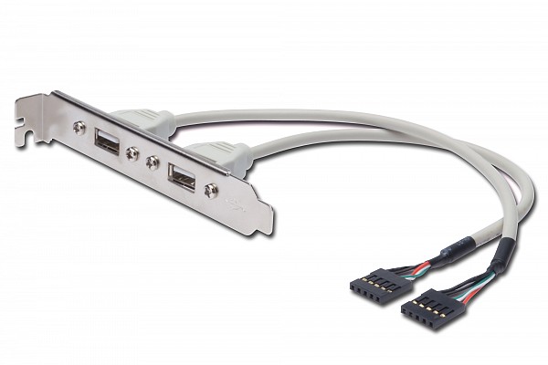 Digitus ΛΑΜΑΚΙ USB 2.0 2 Port 25cm