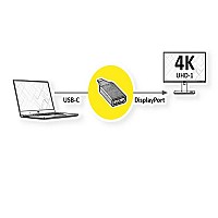Roline Adapter USB Type-C MALE TO DisplayPort FEMALE v1.2
