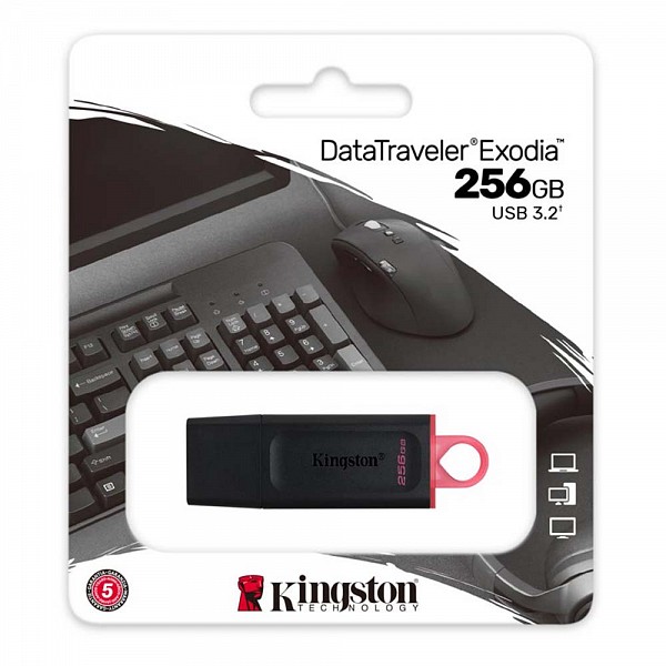 Kingston DataTraveler Exodia 256GB USB 3.2 Gen 1 DTX/256GB