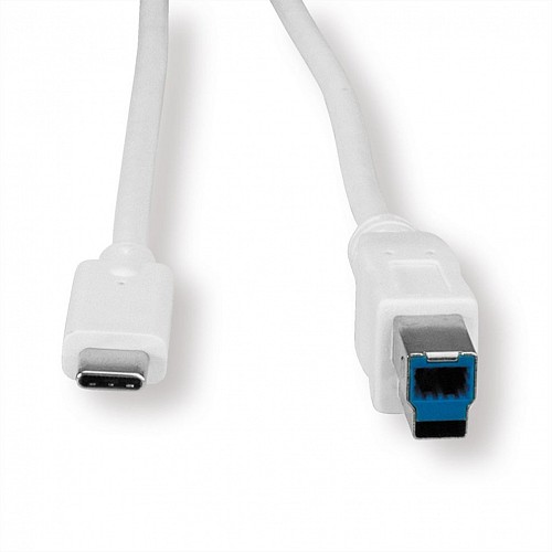 Value USB 3.2 Gen 1 Cable, C - B M/M white 1.8m 11.99.8880