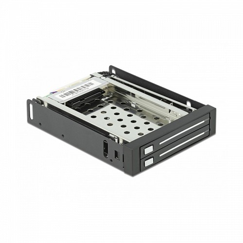 DELOCK ΣΥΡΤΑΡΙ 3.5 HOT PLUG ΓΙΑ 2X 2.5' HD SATA 47189