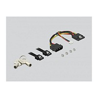 Delock 5.25″ Mobile Rack for 1 x 3.5″ SATA HDD 47191