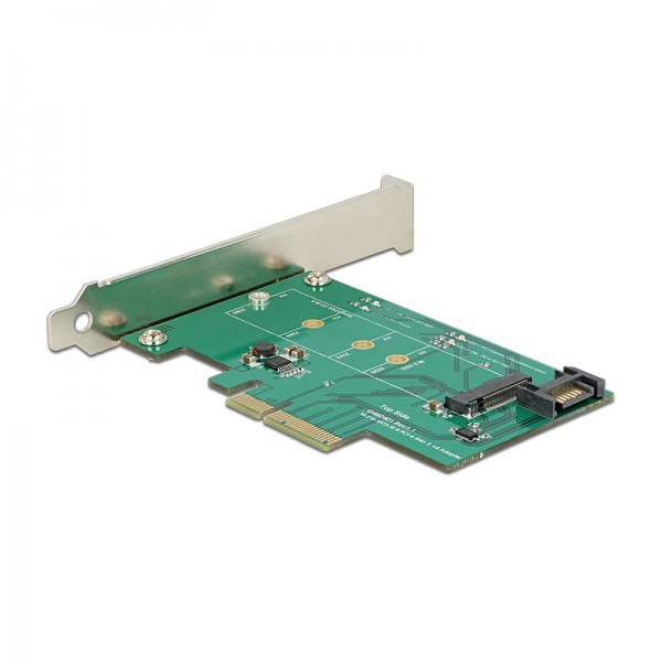 DELOCK PCI EX x4 ΣΕ M.2 NVMe with SATA 7p out 89381