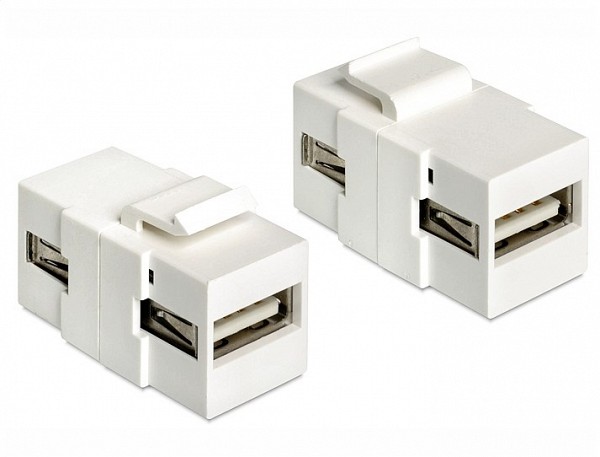DELOCK Keystone Usb 2.0 A Female  και  Usb 2.0 A Female White